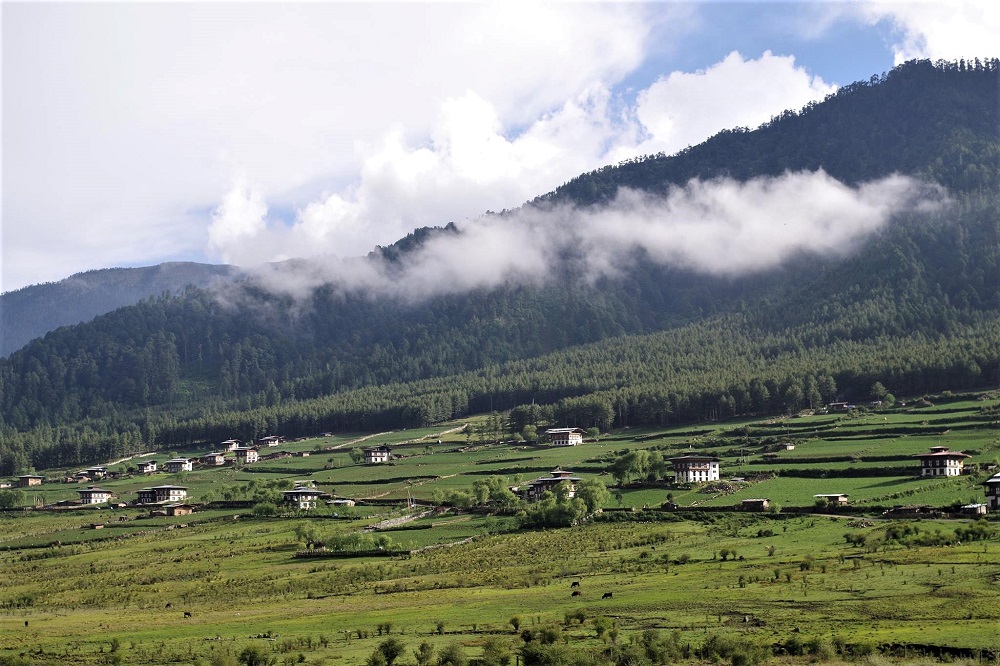 Gangtey Trek- Phobjikha valley